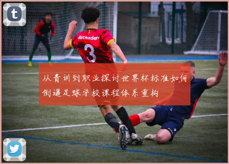 从青训到职业探讨世界杯标准如何倒逼足球学校课程体系重构