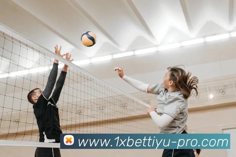 多媒体互动体验